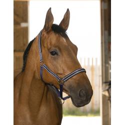 Cabezada De Cuadra Norton "reflective"