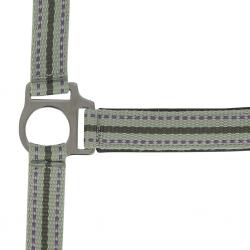 Cabezada De Cuadra Norton "bouclerie Noire"