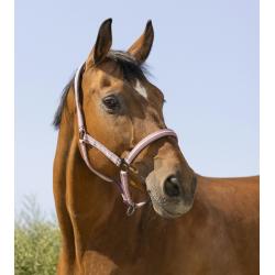 Cabezada De Cuadra Norton "bouclerie Noire"