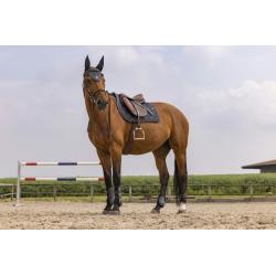 Mantilla Equithème "oslo"