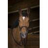 Riendas Lona Norton Pro "rosegold"
