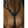 Pechopetral Norton Pro "confort"