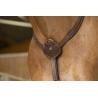 Pechopetral Norton Pro "confort"