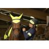 Brazalete Equithème "high Visibility"