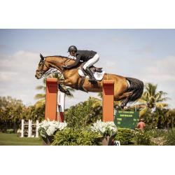 Guantes Racer® "tradition"