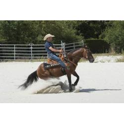 Silla Westride By Franck Perret "aurora"