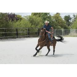 Silla Westride By Franck Perret "aurora"