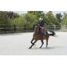 Silla Westride By Franck Perret "aurora"