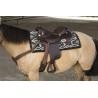 Silla Westride By Franck Perret "arvada"
