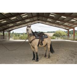 Silla Westride By Franck Perret "arvada"