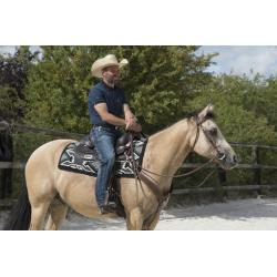 Silla Westride By Franck Perret "arvada"