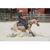 Silla Westride By Franck Perret "arvada"