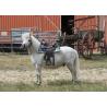 Silla Western Westride "topeka"