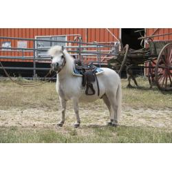 Silla Western Westride "topeka"