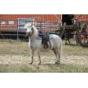 Silla Western Westride "topeka"