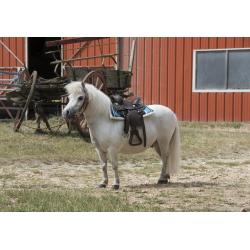 Silla Western Westride "topeka"