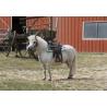 Silla Western Westride "topeka"