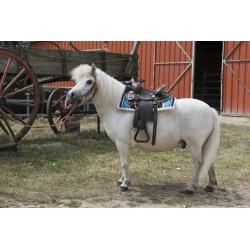 Silla Western Westride "topeka"