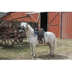 Silla Western Westride "topeka"