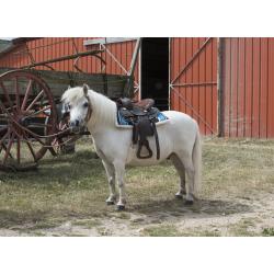Silla Western Westride "topeka"