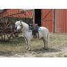 Silla Western Westride "topeka"