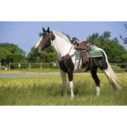 Silla Western Westride "topeka"