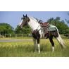 Silla Western Westride "topeka"