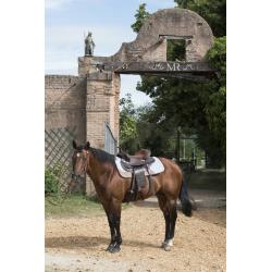 Horse Pad Westride De Fieltro 16 Mm