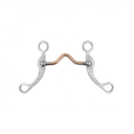 Pool's Correctional Stainless Steel Bit Decorated Rods