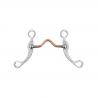 Pool's Correctional Stainless Steel Bit Decorated Rods