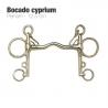 Bocado Cyprium Pelham 21250Cy 12.5Cm