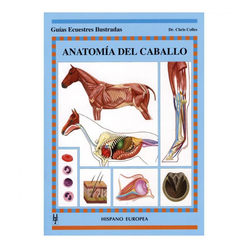 Libro: Guia. Anatomia Del Caballo