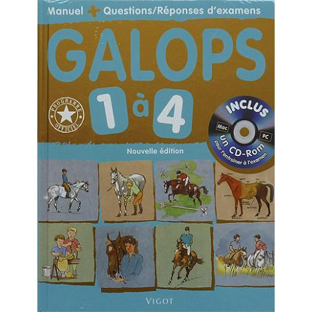 copy of