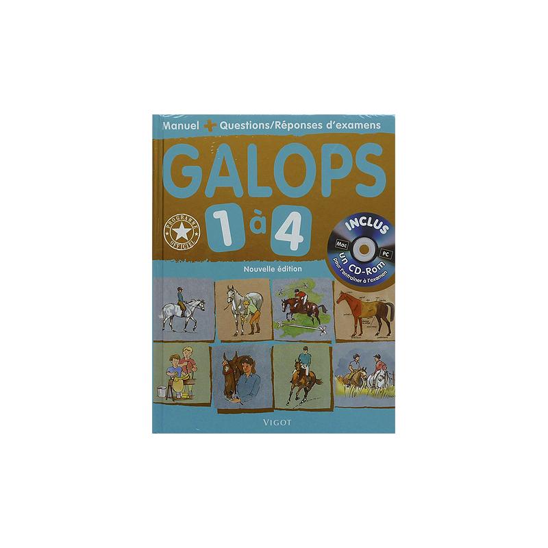 copy of