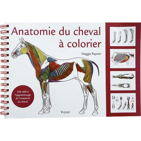 copy of