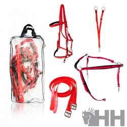 Juego Lexhis Accesorios Biothane (Aciones+Cabezada+Pechopetral+Tijerillas)