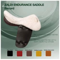 Silla Zaldi Marcha Record