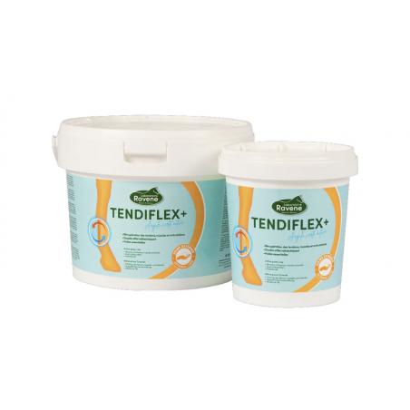 Arcilla Ravene "tendiflex +"