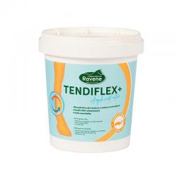Arcilla Ravene "tendiflex +"