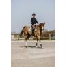 Camiseta Pro Series "canter", Mangas Largas
