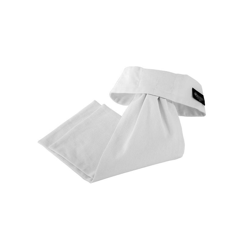 Classic Plastron In Cotton
