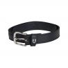 Leather Belt With Snaffle Bits