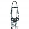 Olympe Dressage Bridle