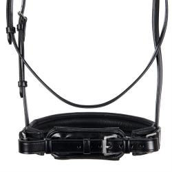Leather Dressage Bridle