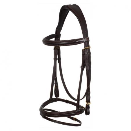 Classic Padded Model Bridle