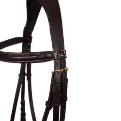 Classic Padded Model Bridle