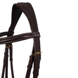 Contrast Model Bridle