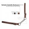  Barbada Cadenilla Hackamore 25703