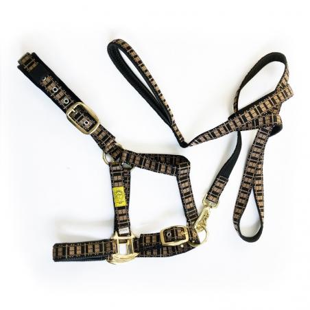 Cabezada + Ramal Tartán Pony