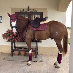 Juego De Mantilla + Orejeras + Vendas